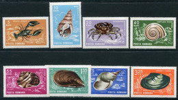 ROMANIA 1966 Molluscs And Crustaceans MNH / **.  Michel 2544-51 - Nuevos
