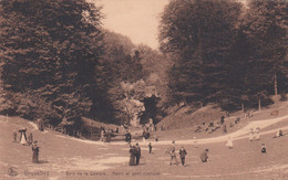Bruxelles - Bois De La Cambre - Ravin Et Pont Rustique - 1919 - Nels Serie Bruxelles No. 54 - Bossen, Parken, Tuinen