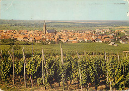 DAMBACH LA VILLE - Vue Générale - 67.084.85 - Dambach-la-ville