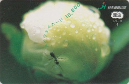 Carte Prépayée JAPON - ANIMAL - SERIE INSECTE 4/6 - FOURMI - ANT Insect JAPAN Prepaid Highway Card - HW 294 - Sonstige & Ohne Zuordnung