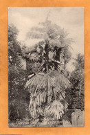 Saint Kitts And Nevis Old Postcard - Saint Kitts And Nevis