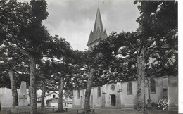 - SAINT VINCENT DE TYROSSE - L'Eglise Et Le Monument Aux Morts - Saint Vincent De Tyrosse