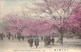 JAPON Japan Cherry Blossoms In Uyeno Park TOKYO Cerisiers En Fleurs - Tokyo
