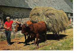 Scènes Champêtres - Rentrée Des Foins - Wagengespanne