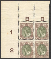 Nederland 1899 NVPH Nr 70 Blok Van 4 Postfris/MNH Koningin Wilhelmina Plaatfout PM13 - Ungebraucht