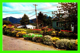 PRINCE RUPERT, BC - BEAUTIFUL GARDEN - TAYLORCHROME - WRATHALL'S - - Prince Rupert