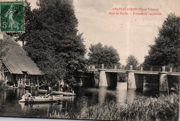 35 / CHATEAUGIRON / PONT DE SEICHE / PROMENADE RENOMMEE - Châteaugiron