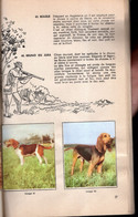 ALBUM LA VACHE GROSJEAN Nos Amis LES CHIENS Complet 75 % - Albums & Catalogues