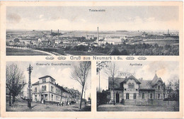 Gruß Aus NEUMARK Sachsen Vogtlandkreis Gessners Geachäftshaus Apotheke Total Belebt 15.4.1916 Gelaufen - Vogtland