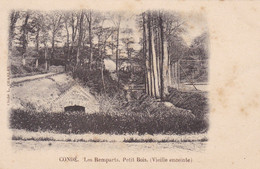 Condé 59 Les Remparts, Petit Bois (pk74039) - Conde Sur Escaut