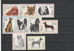 Poland 1963 Dogs MNH - Other & Unclassified