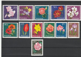 Poland 1964 Flowers MNH - Autres & Non Classés