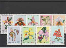 Poland 1965 Orchids MNH - Other & Unclassified