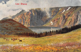 WEISSER SEE-Lac Blanc-Urbeis-Orbey-Vogesen-68-Haut Rhin-Dessin-Dessinée-Illustrateur Hoffmann Heinrich - Orbey
