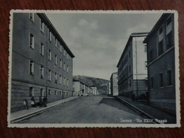 Cartolina  Anni 50 - Isernia