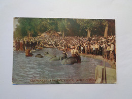 Sioux City. - Elephants In Big Sioux River. (7 - 1 - 1913) - Sioux City