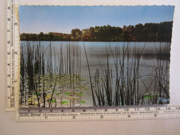 Delcampe - [59] Nord  Arleux Vue Sur Les étangs - Arleux