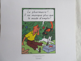 Planche TINTIN  "Les Cigares Du Pharaon"  N°33 Strip 12 Ed Hergé-Moulinsart 2011 Ex Libris - Ilustradores G - I