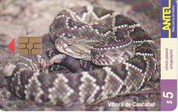 Nº 84 (CHIP ROJO) TARJETA DE URUGUAY DE UNA VIBORA DE CASCABEL (SNAKE-SERPIENTE) - Uruguay