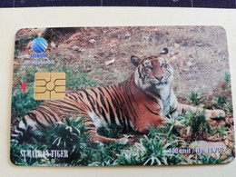 INDONESIA CHIPCARD 100  UNITS    SUMATRAN / BENGAL TIGER          Fine Used Card   **3888 ** - Indonésie