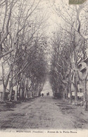 MONTEUX - Avenue De La Porte-Neuve - Monteux