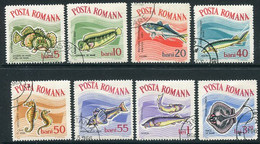 ROMANIA 1964 Marine Fauna  Used.  Michel 2280-87 - Used Stamps