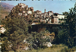 Corte CPA 20 2B Haute Corse Vue Panoramique Ed Miramont 1964 - Corte