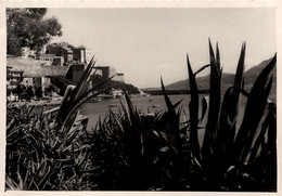 Calvi * Vue Sur Le Port Et La Ville * Haute Corse 2B * Photo Ancienne - Calvi