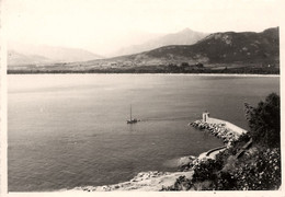 Calvi * Vue Sur La Baie * Haute Corse 2B * Photo Ancienne - Calvi