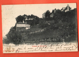 CHE2-17  Château De La Neuveville  Vignes Vignoble.  Précurseur, Circulé 1905 - La Neuveville