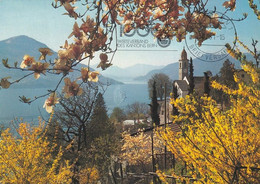 904 - Schweiz - Suisse , Switzerland , Tessin , Ronco - Gelaufen 1981 - Ronco Sopra Ascona