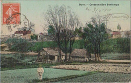 Cressonniere Bontemps 1908  Duvy - Cultures