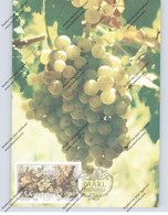 WEIN / WINE, Weintrauben Südafrika - Vignes