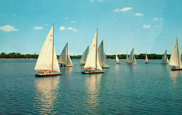 Sailboating On Lake Calhoun - Minneapolis