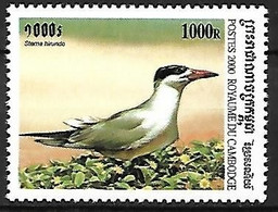 Cambodia - MNH ** 2000 :   Caspian Tern  - Hydroprogne Caspia - Seagulls