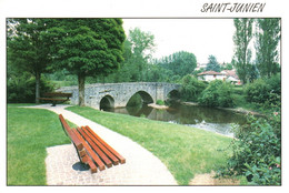 4837 Carte Postale SAINT JUNIEN Le Pont Sainte Elisabeth  87 Haute Vienne - Saint Junien
