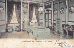Etablissement De Carlsbourg , Le Salon (pk74233) - Paliseul