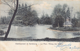 Etablissement De Carlsbourg, Le Parc, L'etang Des Cygnes (pk74243) - Paliseul