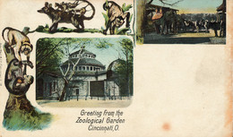 Zoological Garden, Greeting - Cincinnati