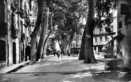 Céret * Boulrvard Maréchal Joffre * Commerce Magasin Au Bon Marché - Ceret