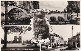 ELGIN MULTI VIEW - Moray