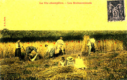 A S 529 /   C P A -  LA VIE CHAMPETRE - LES MOISSONNEURS - Cultures