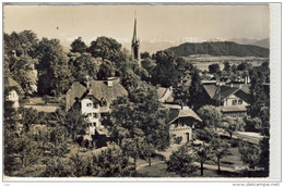 MURI Bei BERN   Panorama  Schöner Stempel - Muri Bei Bern