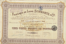 Titre Ancien - Filatures De Laine Schwartz & Cie - Société Anonyme -Titre De 1922 - - Textile