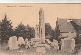 Rare Cpa Plozevet Monument Aux Morts - Plozevet