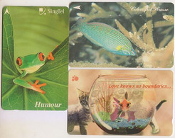 Singapore Old Phonecards Singtel Animal Fish Frog 3 Cards - Peces