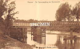 De Spoorwegbrug En Durmezicht -  Hamme - Hamme