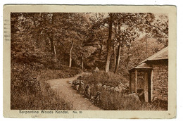 Ref 1431  -  1929 Postcard - Serpentine Woods Kendal - Lake District Cumbria - 1d PUC Stamp - Kendal