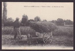 CPA [45] Loiret Sully Sur Loire Voiture à Chien Métier écrite - Sully Sur Loire