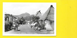 Carte Photo La Campana Chevaux Panama (Flatau) Panama - Panama